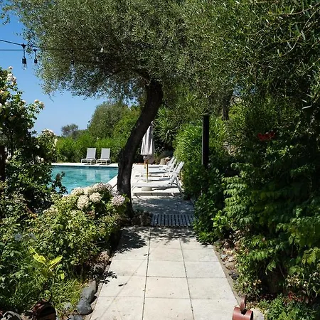 Ogliastrello Olmeto (Corsica)