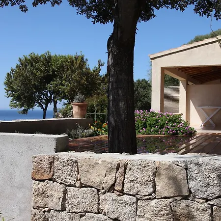 Holiday park Ogliastrello Olmeto (Corsica)