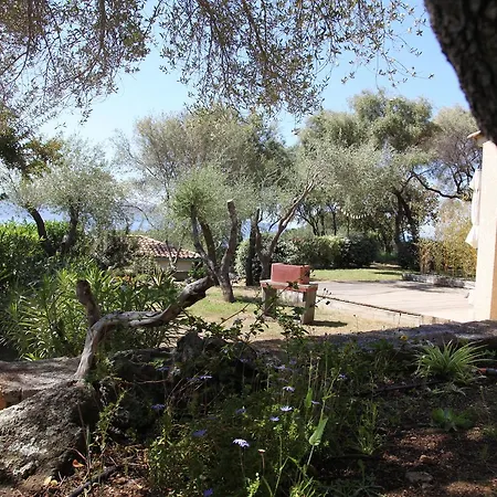 Ogliastrello * Olmeto (Corsica)