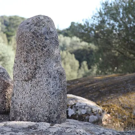 Ogliastrello Olmeto (Corsica)